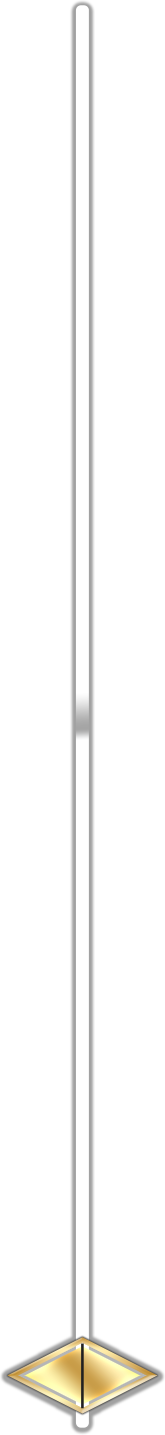 Slider Button