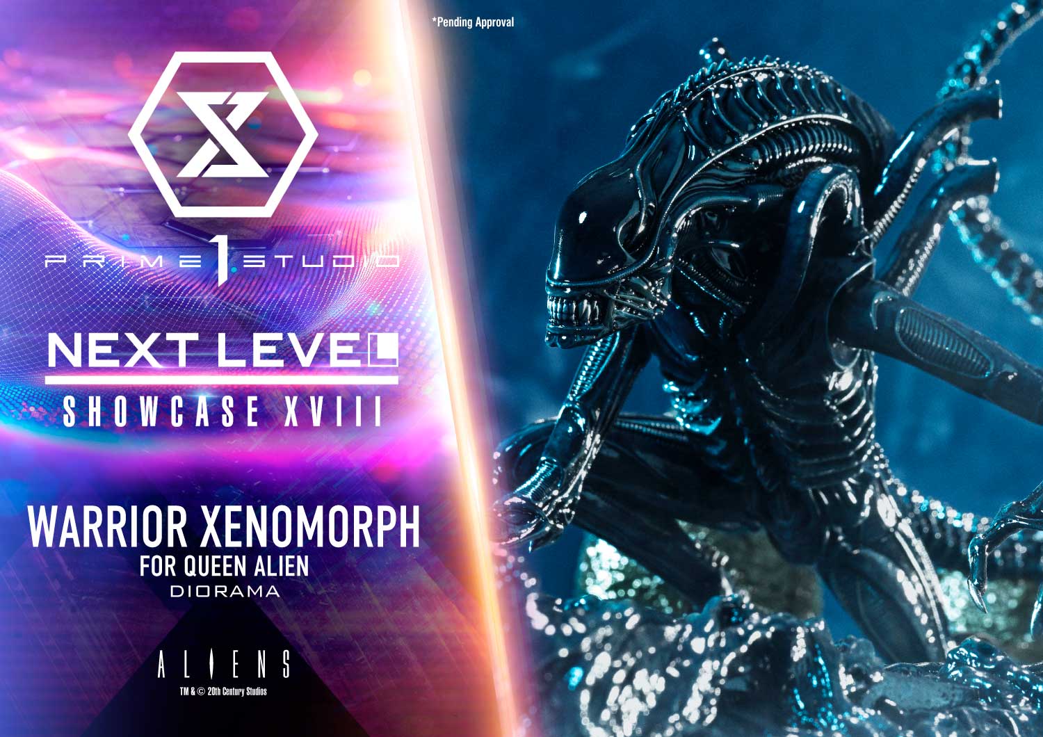 NEXT LEVEL SHOWCASE