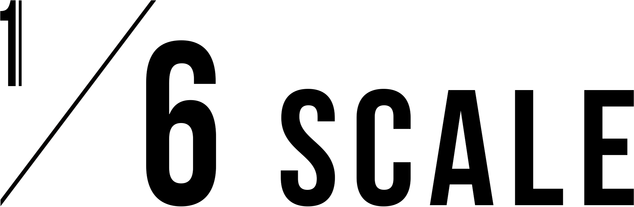 1-6_scale