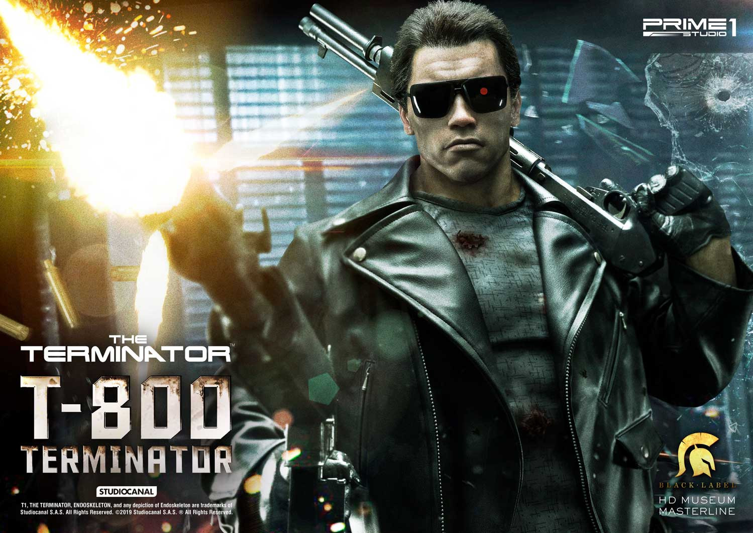 HDMMBLT1-02/02DX: T-800 Terminator Inquiry