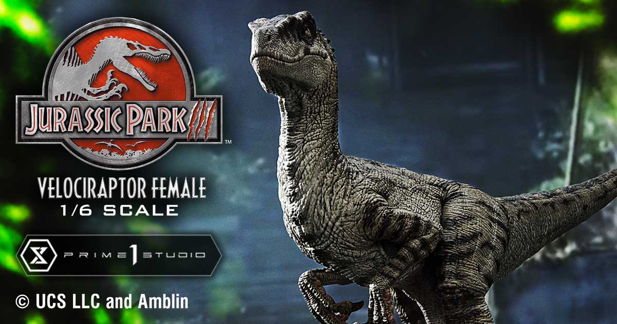 Velociraptor Female | Statue | Prime 1 Studio